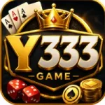 Y333 Game